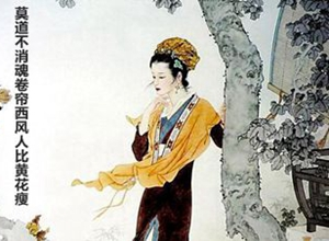 半生烟雨，半世落花:《李清照传》